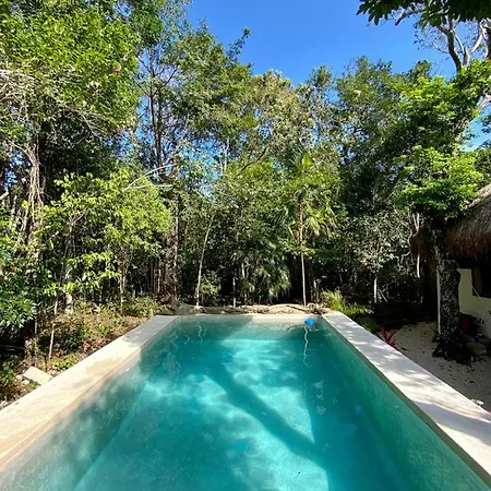 Blue Monkey Chemuyil Villa
